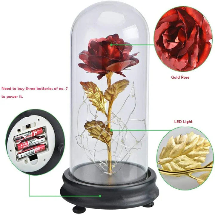 Večna Bajkovita Ruža | LEDROSE