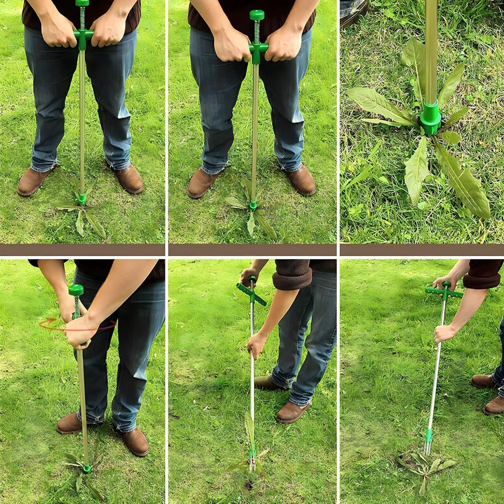 Vadilica Korova | SPINOUT