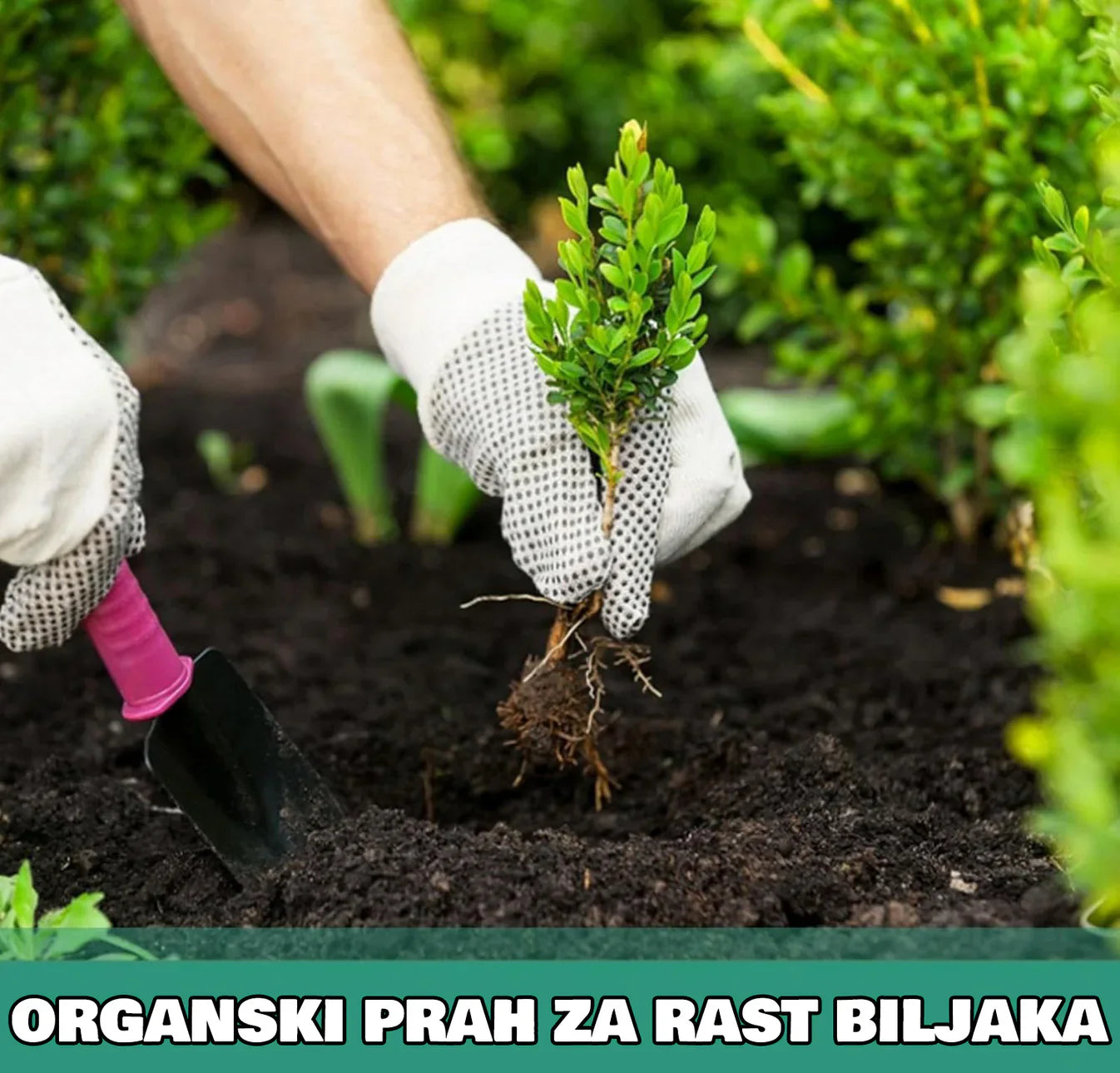 Organski Prah za Rast Biljaka